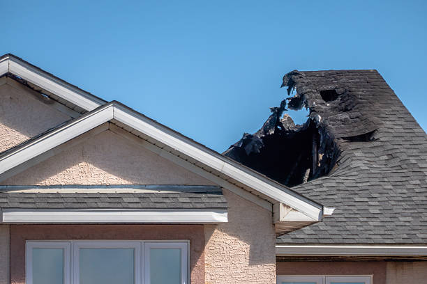 Top rated local Firefighting Water Removal specialists in Medina, WA